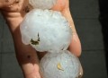 北京山区有小冰雹,北京顺义石门有冰雹吗？
