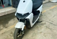 电动车1辆涨价600元,600元左右电动车？