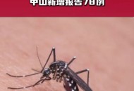 一地登革热疫情上升,一地登革热疫情上升了吗