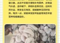 吃羊胎盘染致命细菌,羊胎盘可以吃吗？