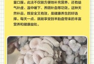 吃羊胎盘染致命细菌,羊胎盘可以吃吗？