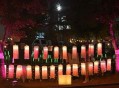 韩国申遗全面溃败,兵马俑韩国申遗结果？