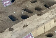 白天考古晚上盗墓,盗墓为什么不在白天