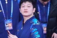 樊振东入美职业联赛,樊振东入美职业联赛了吗