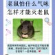 住全季半夜被老鼠咬,如果当你熟睡时,有老鼠爬上你的床，它会咬你吗？