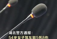 湖北严肃问责185人,湖北严肃问责185人案件