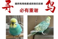 鹦鹉飞走悬赏1万元,高分悬赏，在线急等，红桃脸牡丹鹦鹉母鸟的病情问题？