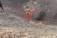 景区保洁遭游客殴打,景区保洁遭游客殴打怎么处理