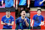 樊振东卫冕冠军,樊振东卫冕冠军是哪一年