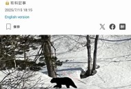 日本熊害已致13死,日本熊叫什么？