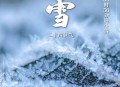 小雪至 冬始俏,小雪至冬始俏什么意思？