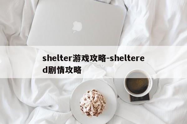 shelter游戏攻略-sheltered剧情攻略
