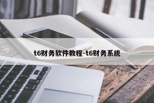 t6财务软件教程-t6财务系统