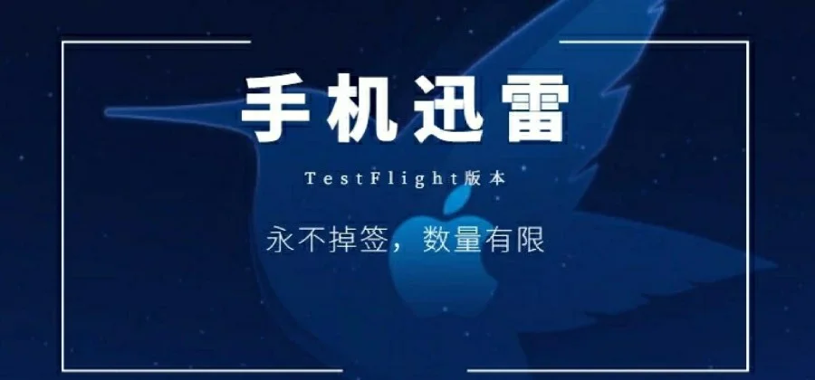 迅雷软件教程,迅雷到底怎么用