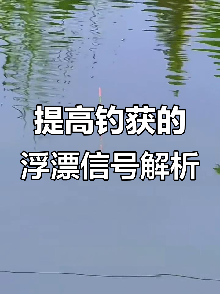 钓鱼看漂技巧游戏攻略,钓鱼看漂技巧游戏攻略视频