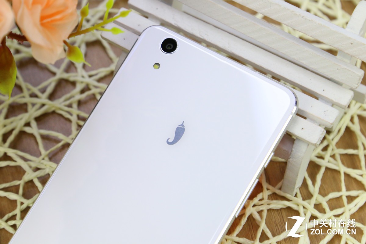 小辣椒隐藏软件教程,小辣椒的隐藏功能在哪