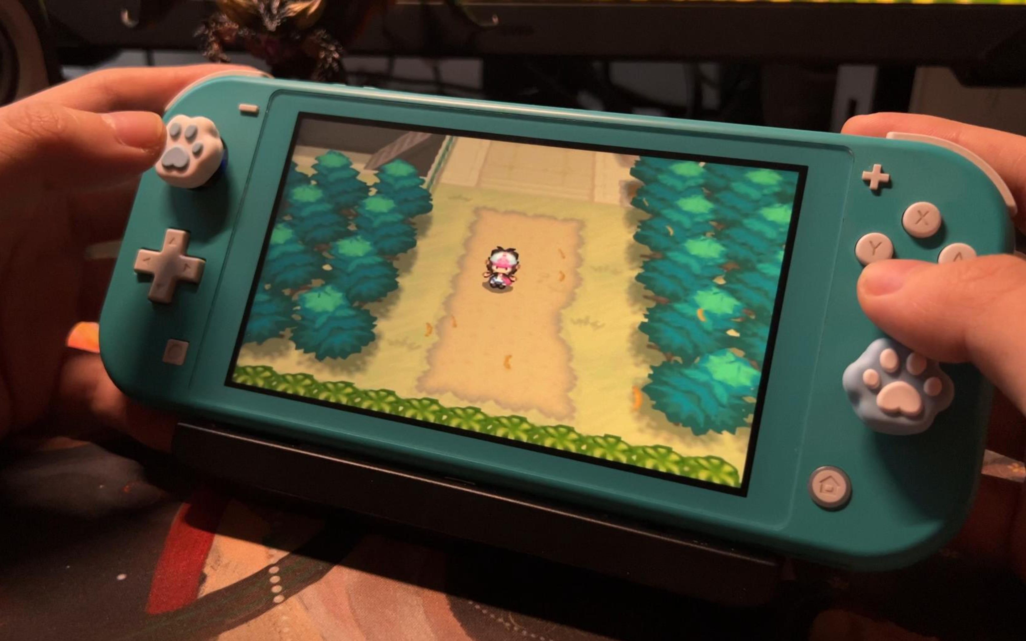 nds游戏攻略,nds过关游戏