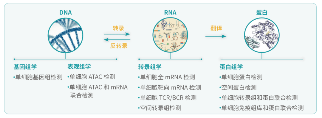 博奥软件教程,博奥软件自学教程