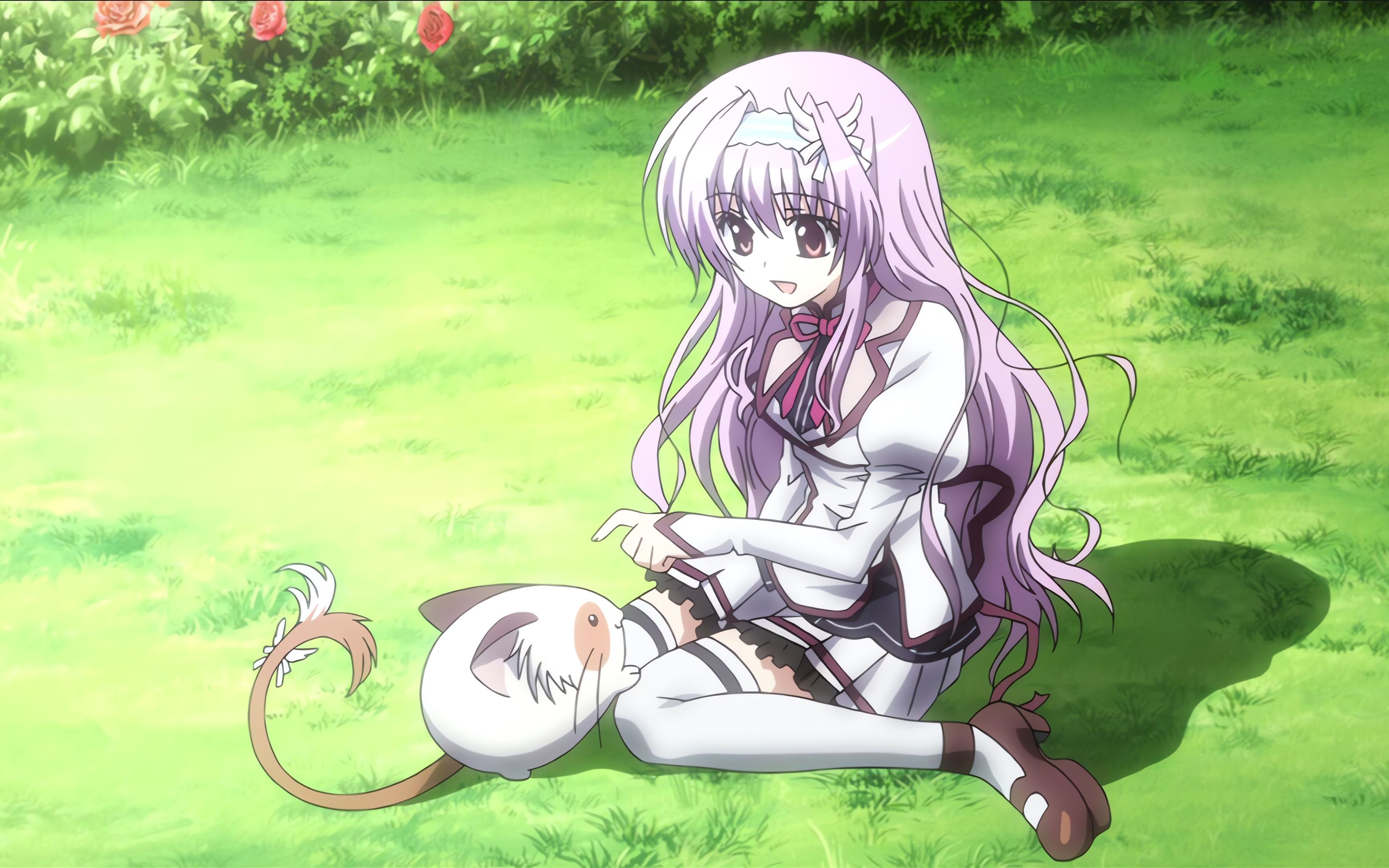 纯白交响曲游戏攻略,纯白交响曲galgame攻略 纯白交响曲游戏攻略,纯白交响曲galgame攻略