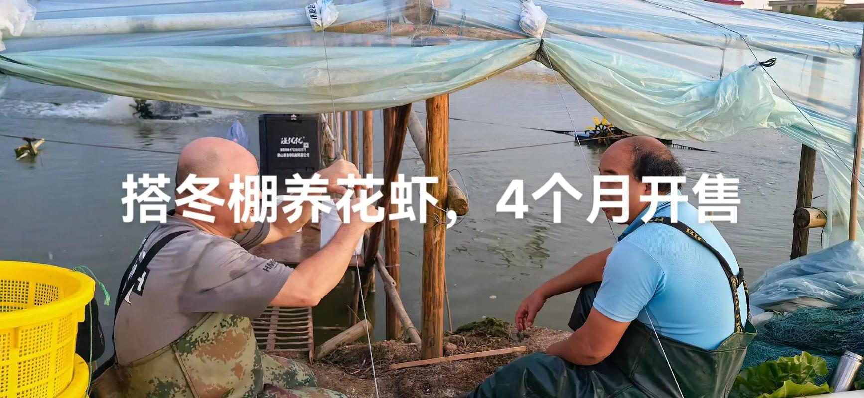 车棚起火烧上百辆车,冬棚虾养殖应该注意哪些问题?