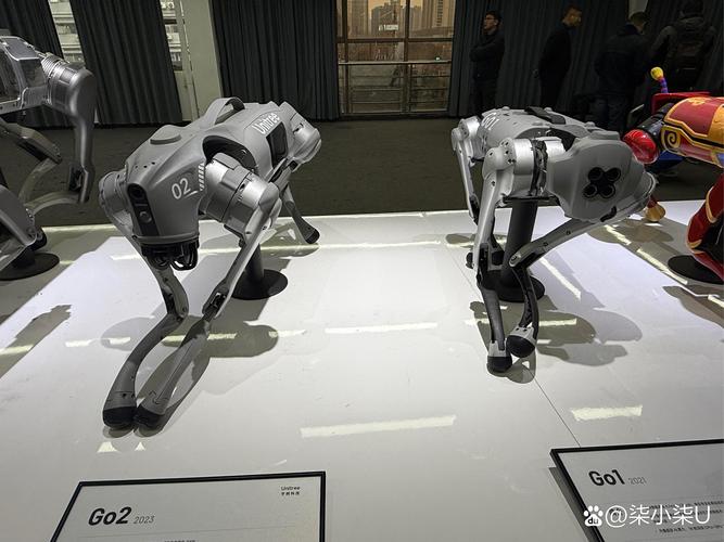 宇树科技变更新名称,宇树科技创始人是江西人吗?