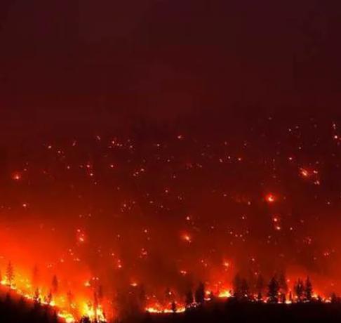 加拿大多地野火肆虐,加拿大山林野火为何失控?