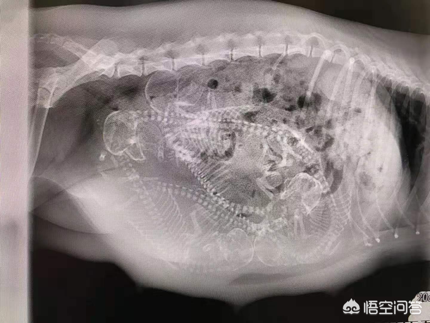 今天谢谢科技工作者,今天谢谢科技工作者怎么说