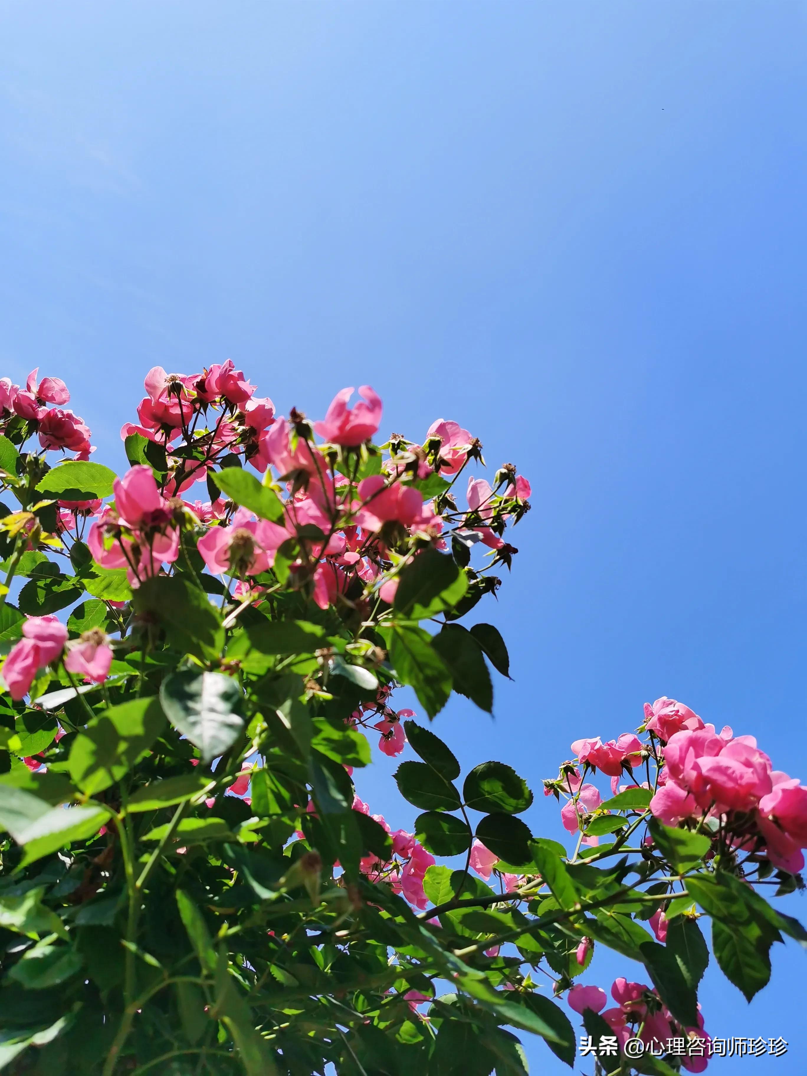 爸爸带娃患产后抑郁,都关心产后妈妈抑郁,爸爸的揪心抑郁谁能懂?特别是二胎? 爸爸带娃患产后抑郁,都关心产后妈妈抑郁,爸爸的揪心抑郁谁能懂?特别是二胎?