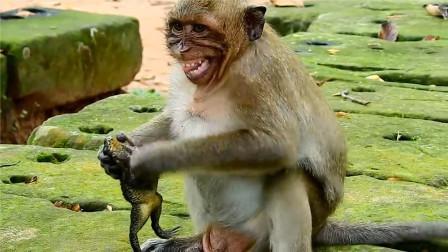 车钥匙逗猴被猴抢走,不用遥控器怎么锁车?