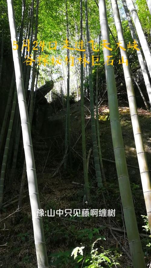 300斤巨石砸中汽车,永安一线天有多宽?