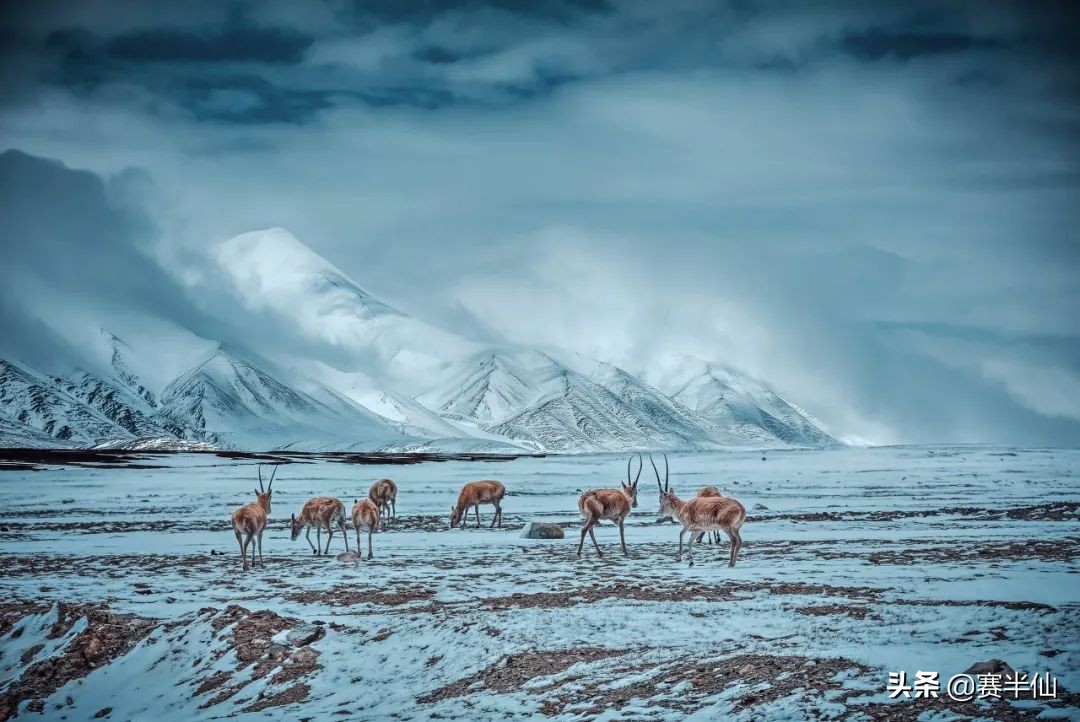 千万建10个厕所被查,为什么有人说：骑行新藏线，千万别到无人区废弃的厕所解手？