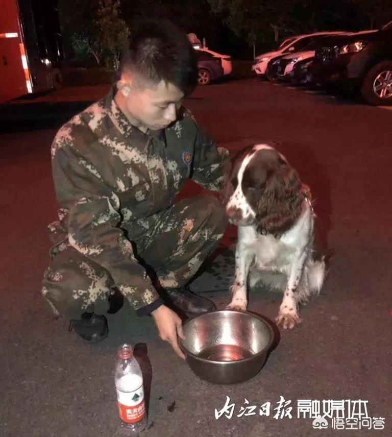 宜宾发生3.8级地震,四川宜宾兴文县发生5.7级地震，你们那里怎么样？