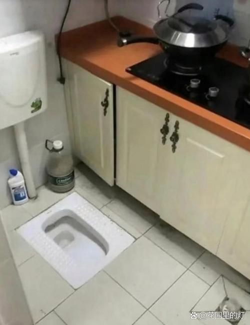 千万建10个厕所被查,蹲厕上厕所可以中途冲水吗?