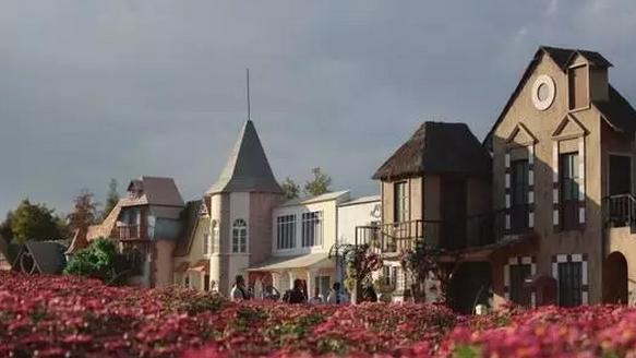 云南滇池现鱼跳龙门,滇池跳水 云南滇池现鱼跳龙门,滇池跳水