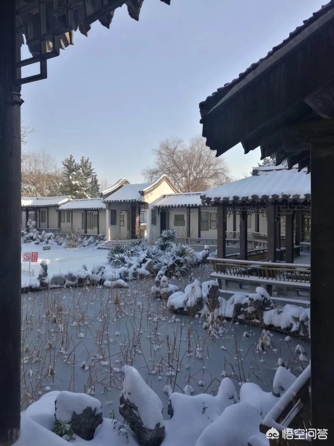 给北极熊现蒸粽子,这么冷的天有防寒的秒招吗？