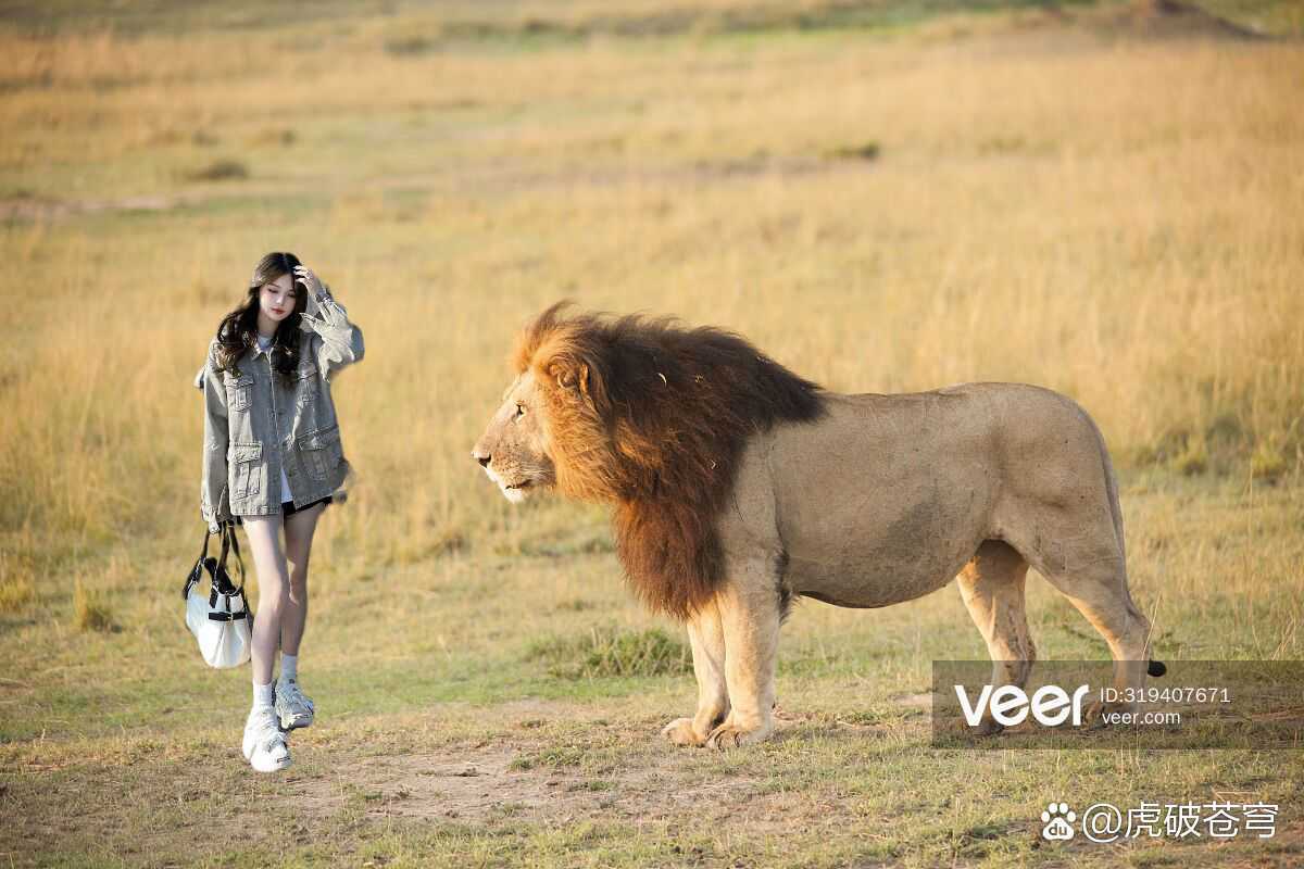 摸老虎屁股遭扑咬,狮子的亚种体型排名?