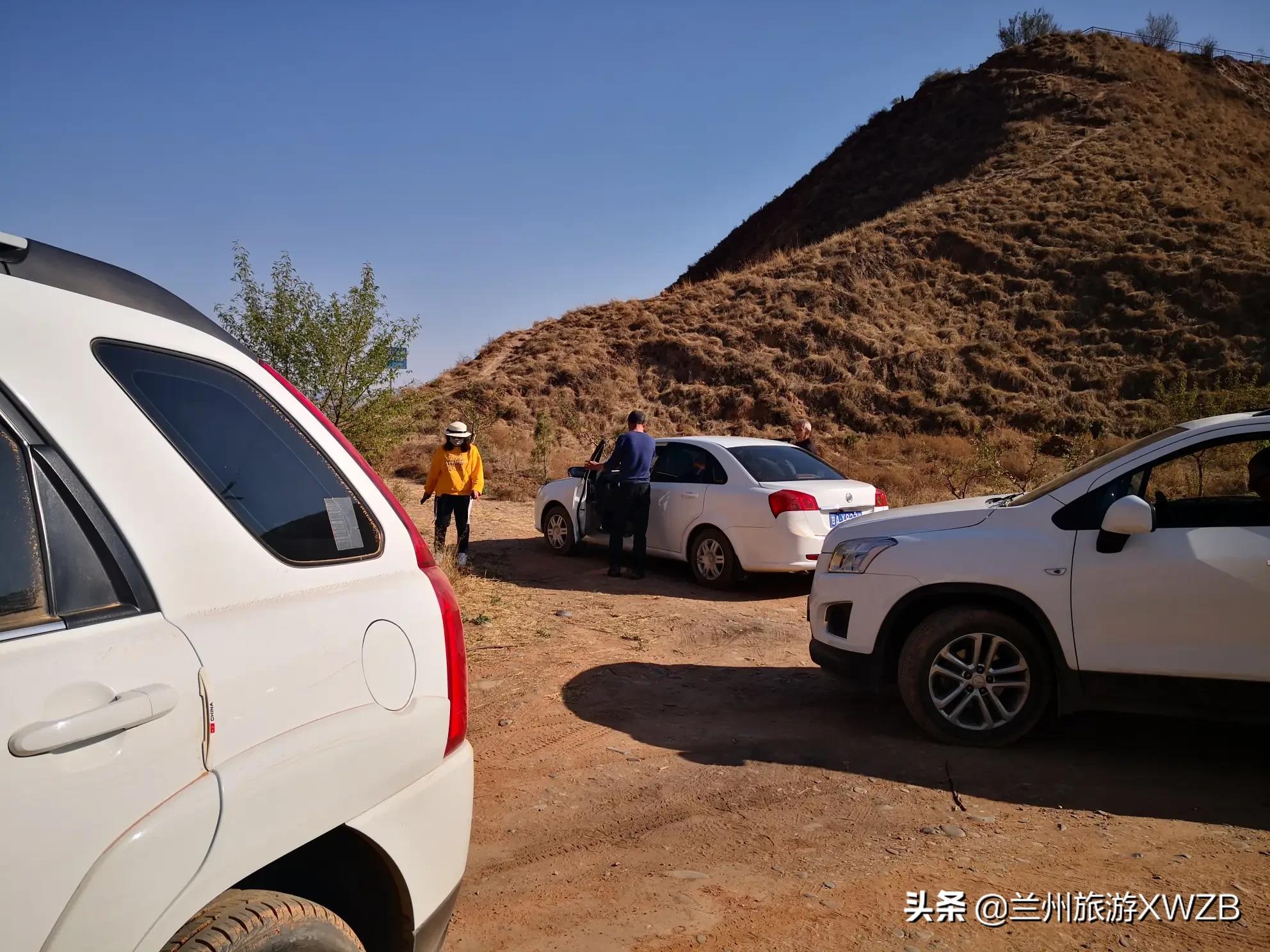 因预言取消行程,这次新冠为什么会放得这么快？坚决清零到二十条到新十条不到两月？