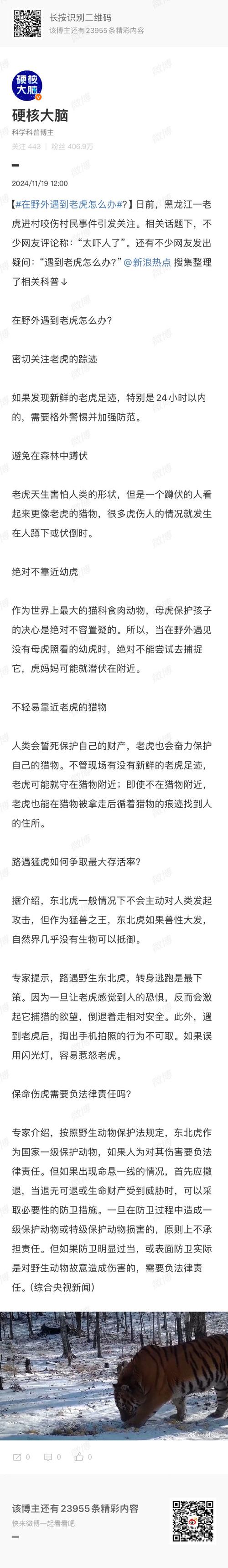 摸老虎屁股遭扑咬,为什么犬科动物没有猫科动物灵活?
