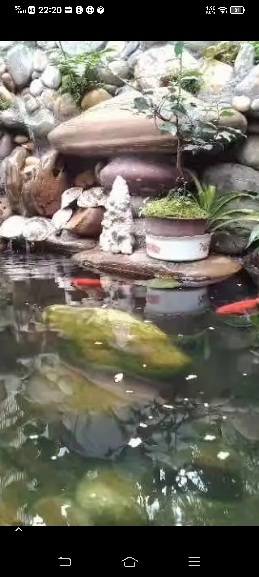 孙子比儿子大3岁,孙子比儿子大3岁好吗