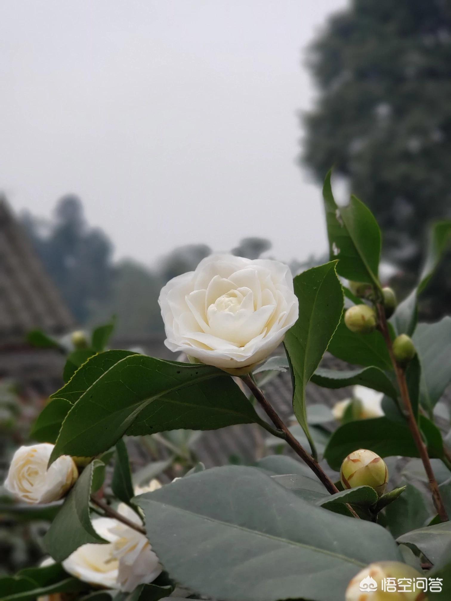 基金亏30万状告银行,投诉银行骗我买基金,找哪个部门? 基金亏30万状告银行,投诉银行骗我买基金,找哪个部门?