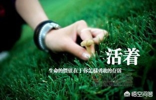 征婚小伙1天加1千人,小伙征婚顺口溜 征婚小伙1天加1千人,小伙征婚顺口溜