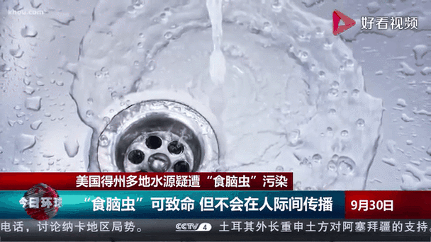 自来水中含活体虫,自来水中含活体虫吗