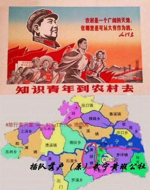 387万放地上被偷,知青上山下乡人口是多少万?