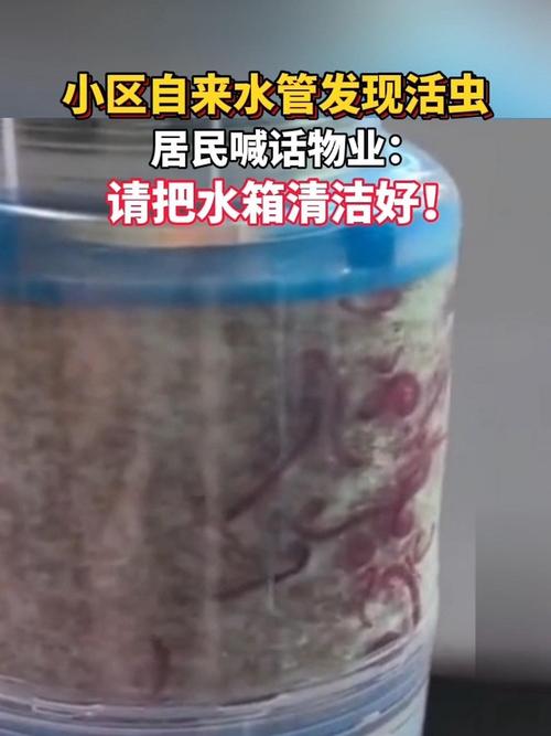 自来水中含活体虫,水中有虫怎么办?