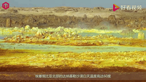 地球将遇致命高温,地球将遇致命高温之灾