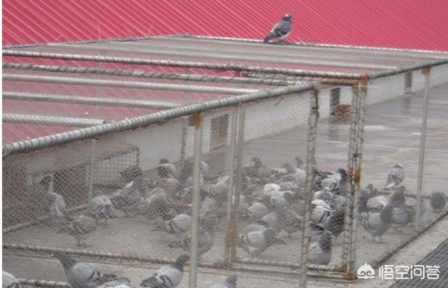 数百囚犯趁地震越狱, 数百囚犯趁地震越狱,