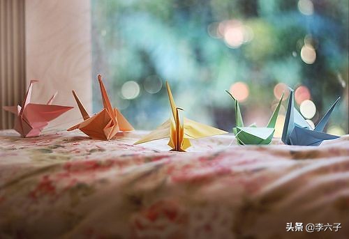 结婚前开车坠河遇难,结婚前车祸 结婚前开车坠河遇难,结婚前车祸