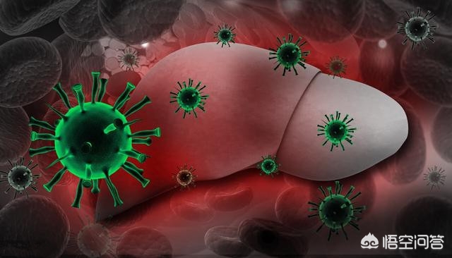 让肝脏变好的小习惯,如何让肝脏变好