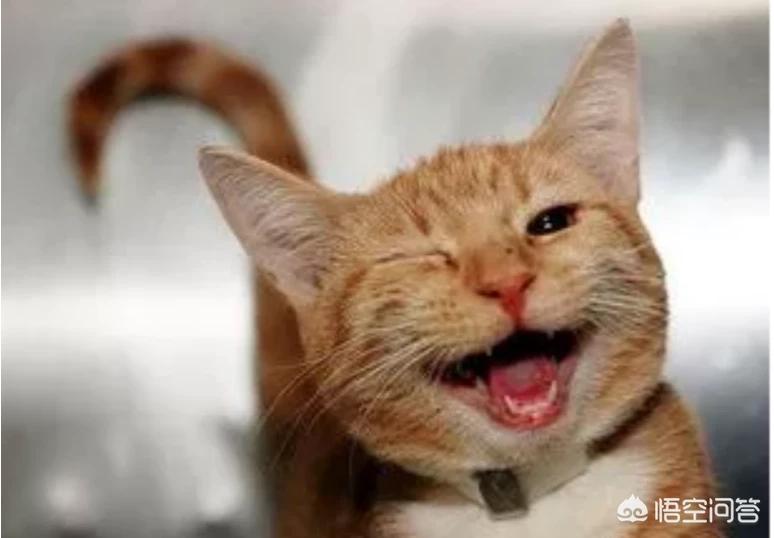 家外有家被判10个月,男人家外有家的心态？