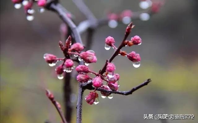 被大猩猩反向投喂,上海动物园怎么玩好玩？